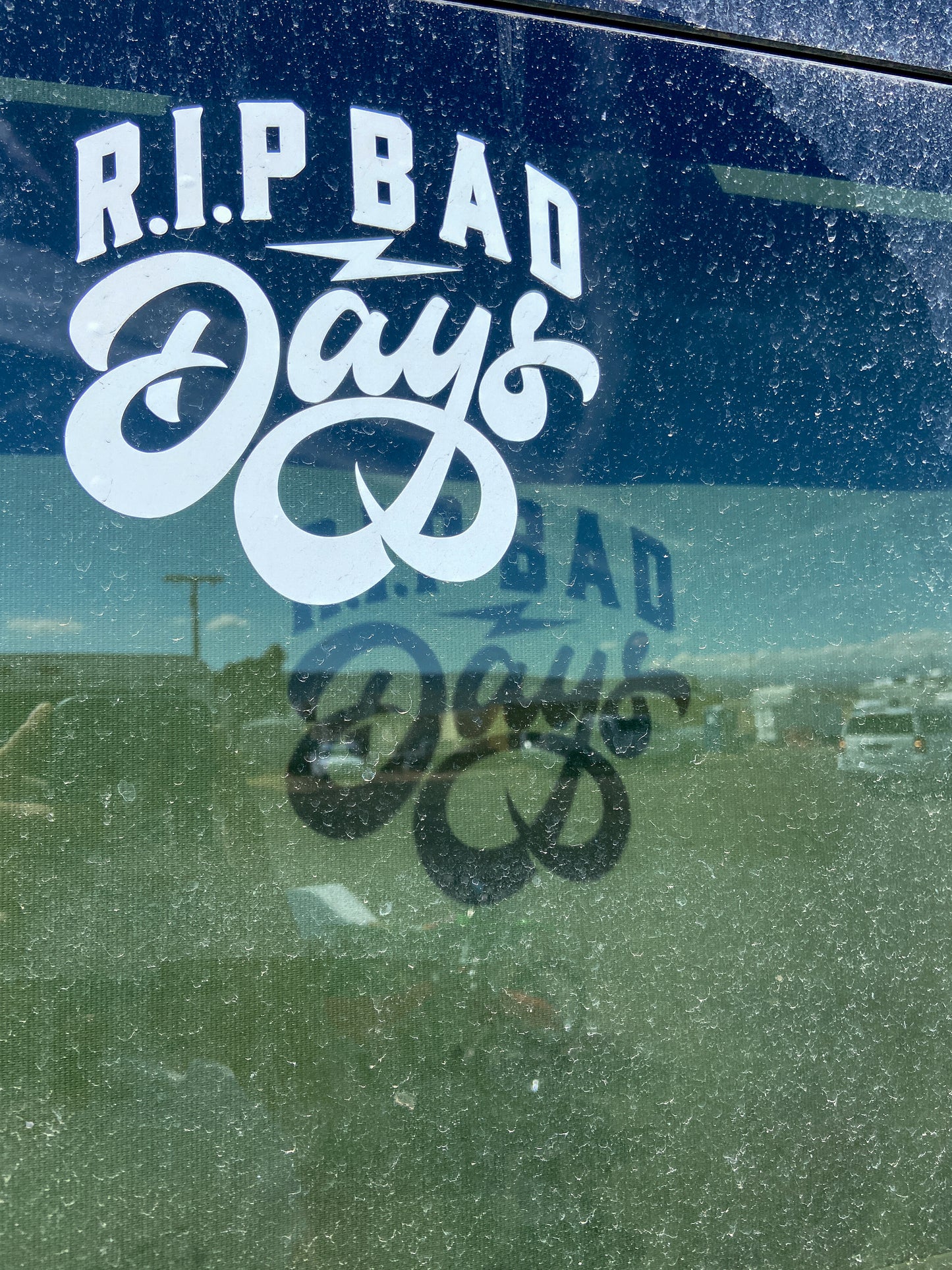 EasyRider 6" Vinyl Decals