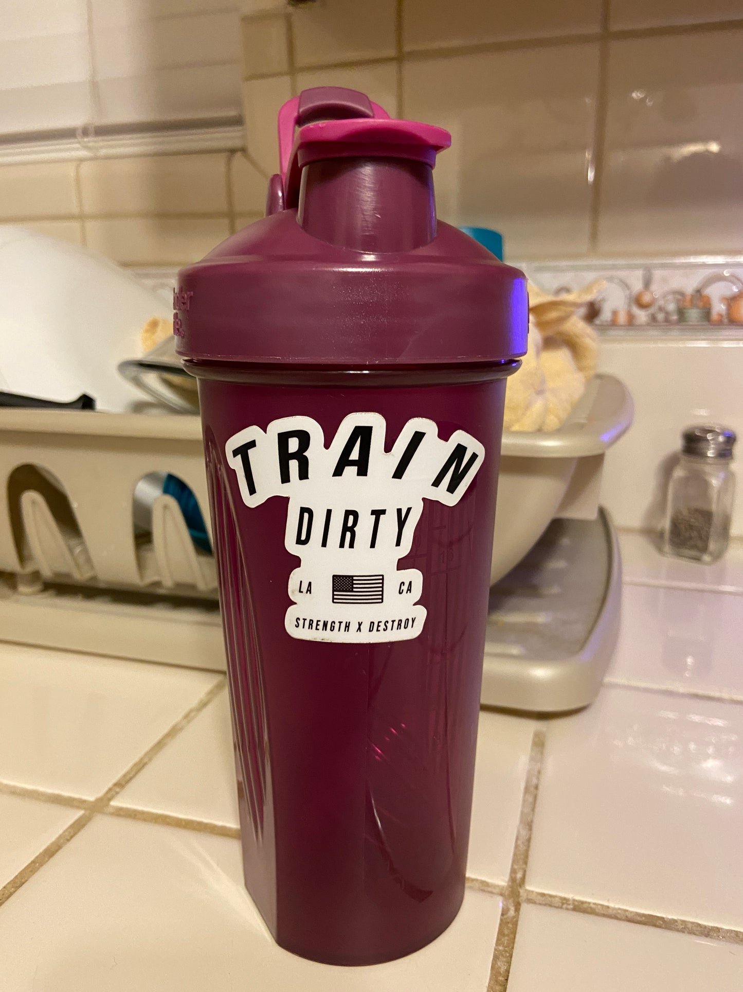 Train Dirty "Standard Issue" Sticker