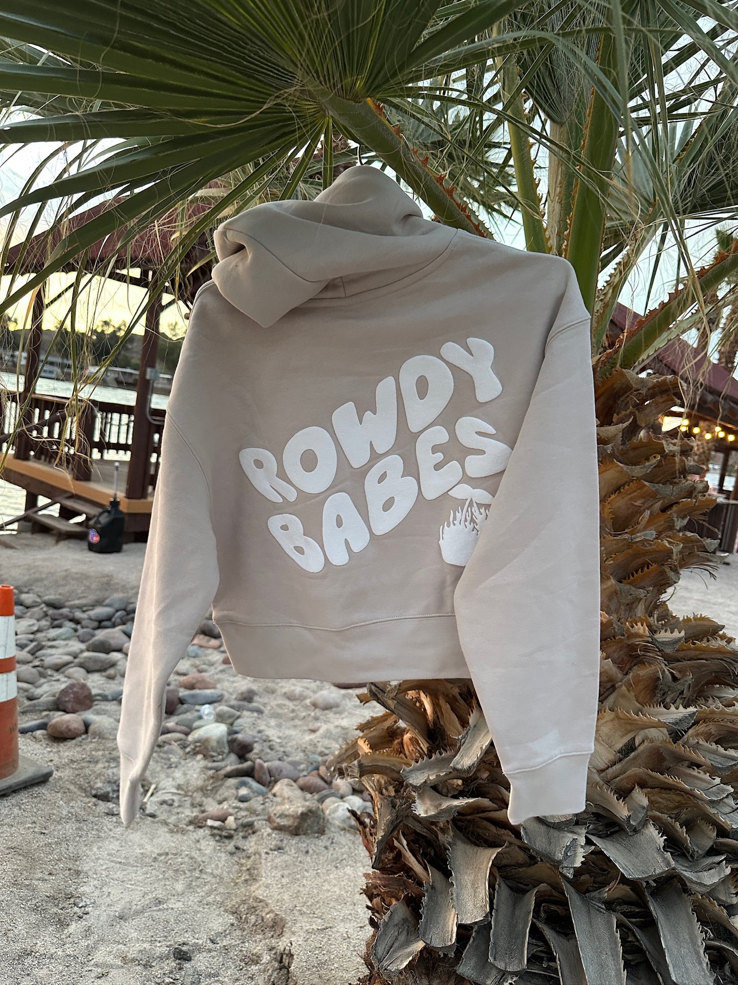 Call Me Later cropped hoodie