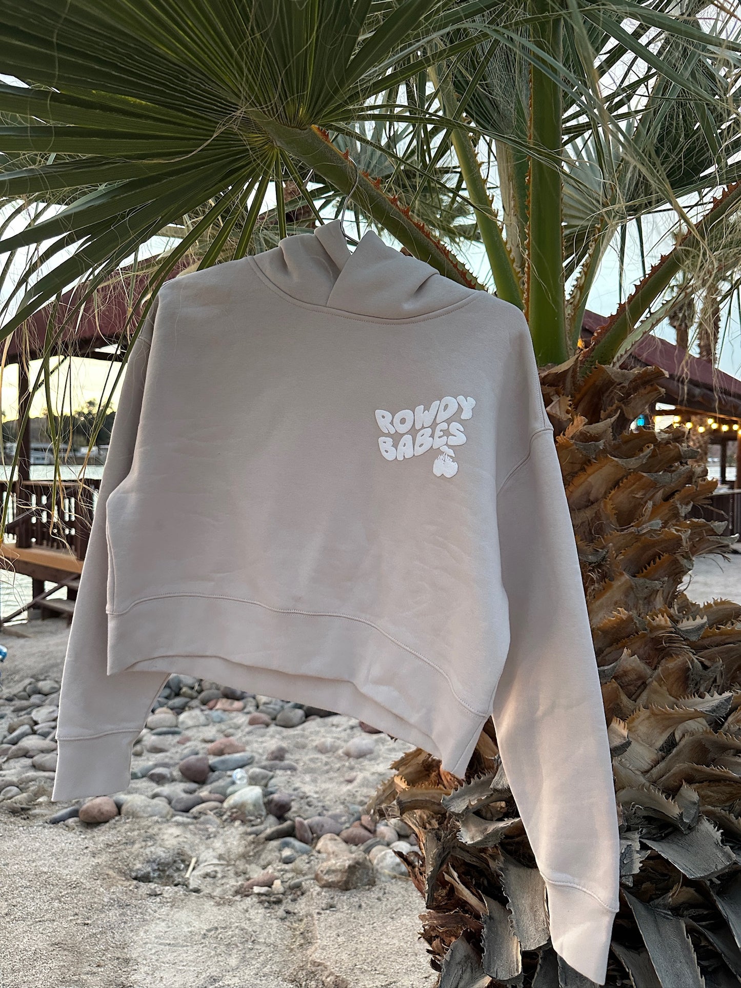 Call Me Later cropped hoodie